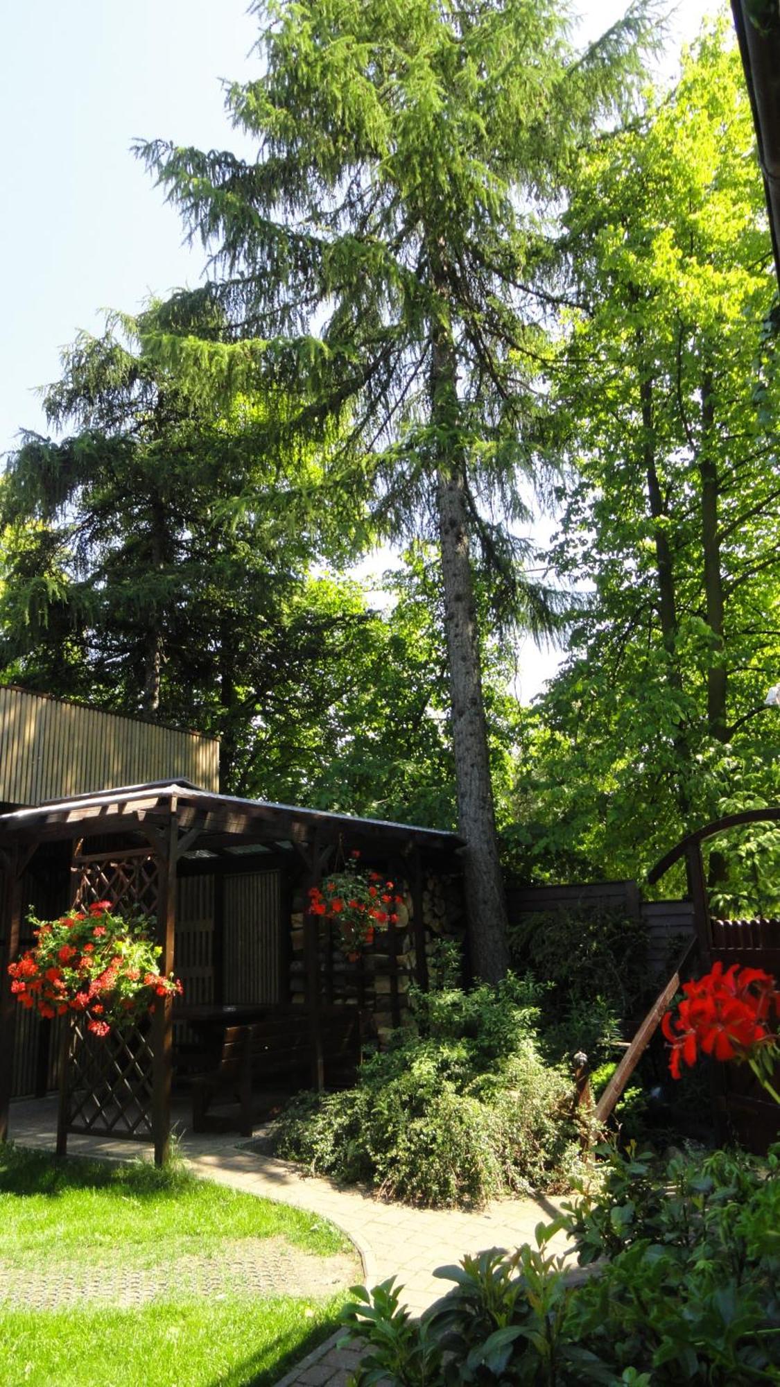 Villa Zosienka Danzig Exterior foto